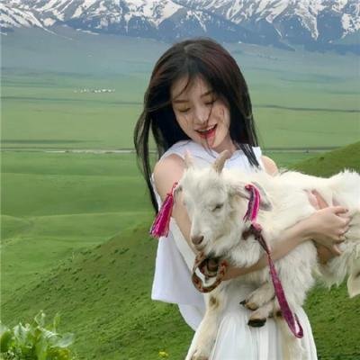 露营悄悄话